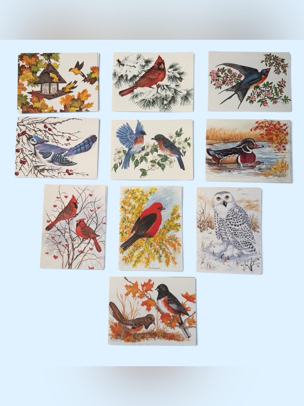 Greeting Cards Artist John Cornacchio Wood Duck, Cardinals Owls Blank Inside 25